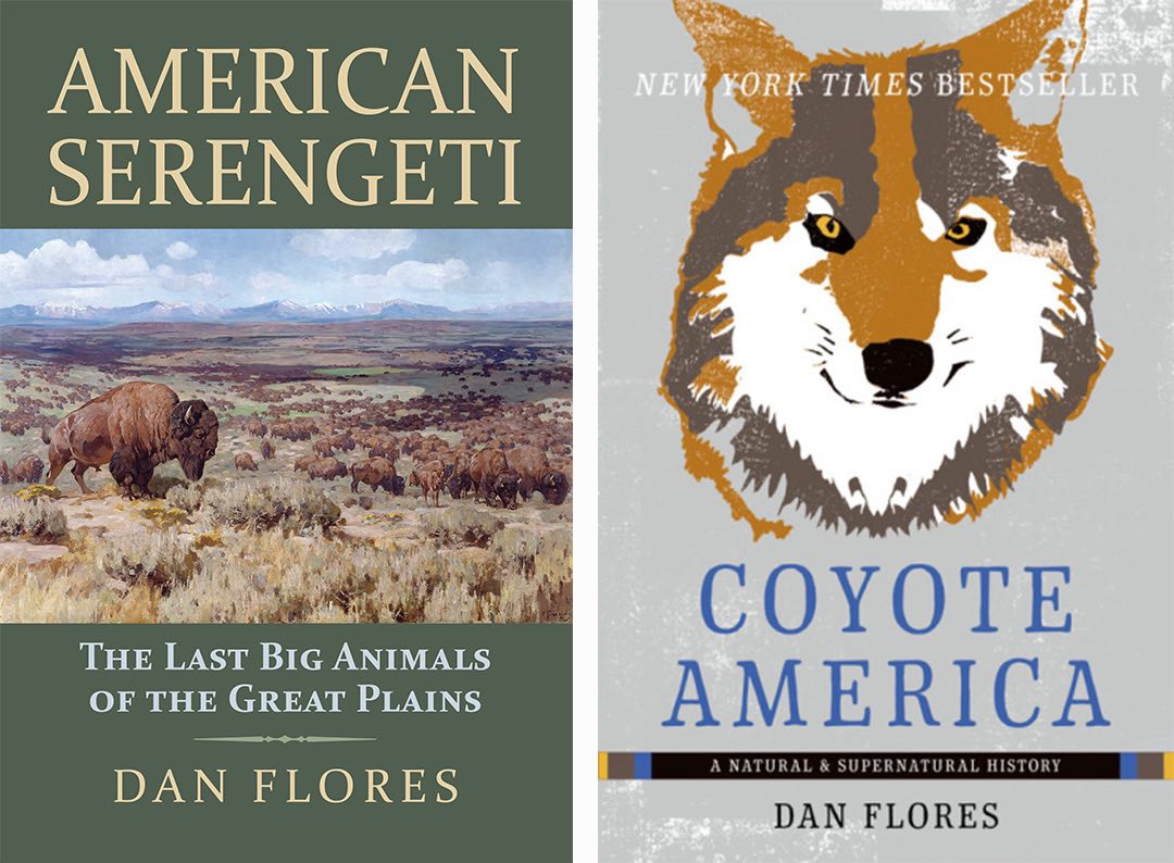 American Serengeti and Coyote America book covers