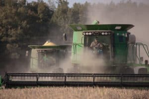 Farmer in a combine harvests soybeans